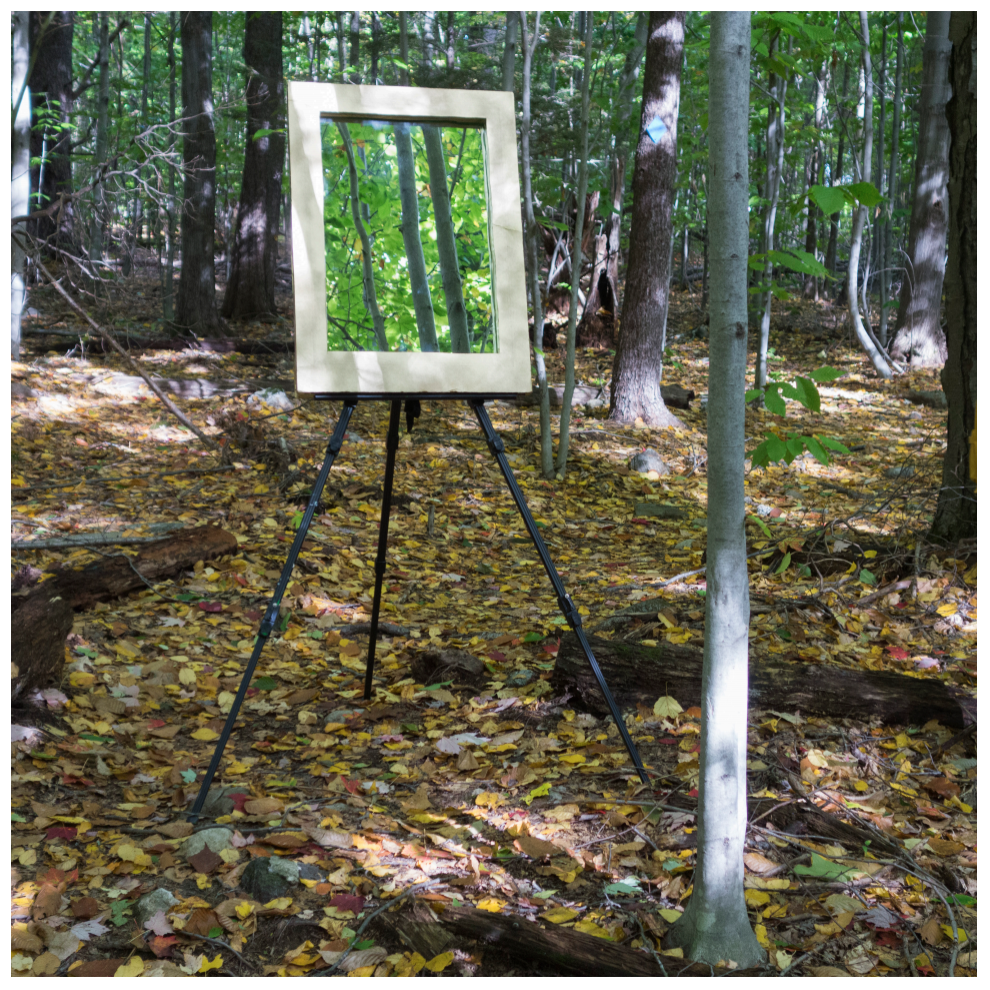  This piece consists of a mirror that sits inside a cardboard frame. It is displayed on an easel that stands in one of the MacLeish Field Station’s trails. The piece is visible from a distance down the trail, and as you approach it the mirror reflects a unique perspective of the adjacent tree. The frame was made by cutting out the middle of a rectangular piece of thick cardboard, taping the insides to even out the texture, then spray-painting the front-side and interior gold. The decoration of the frame is meant to imitate the frames on great pieces of art, yet the visible cheapness of the materials makes it clear that the frame, like what it surrounds, is only a representation