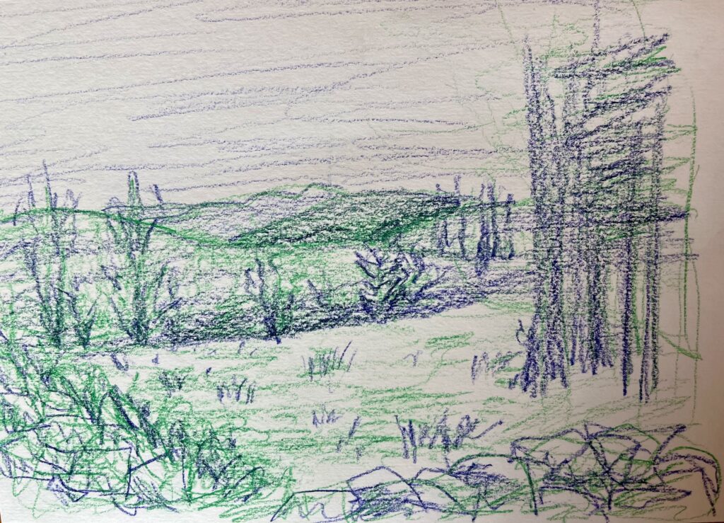 view from the porch swing with green and blue colored pencil