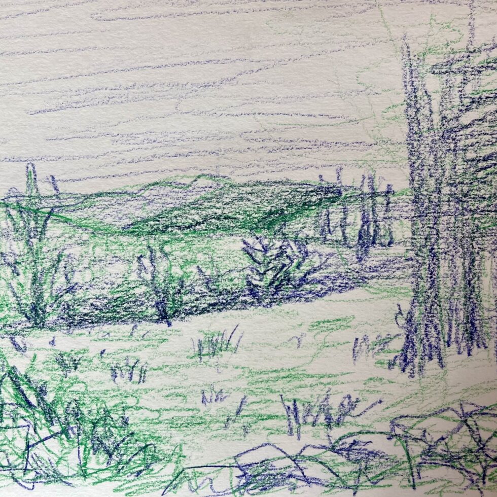 view from the porch swing with green and blue colored pencil