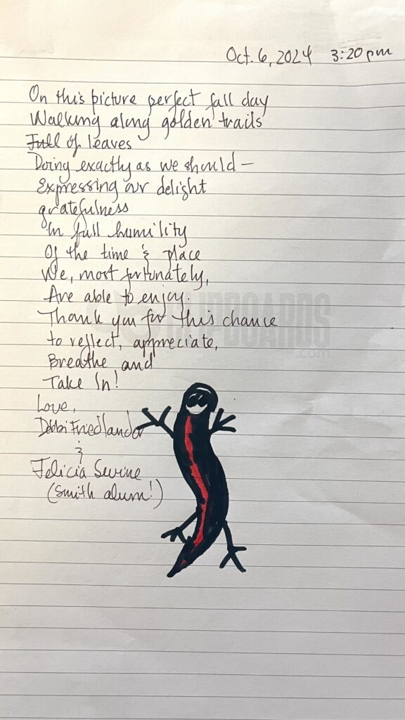 poem and salamander drawing