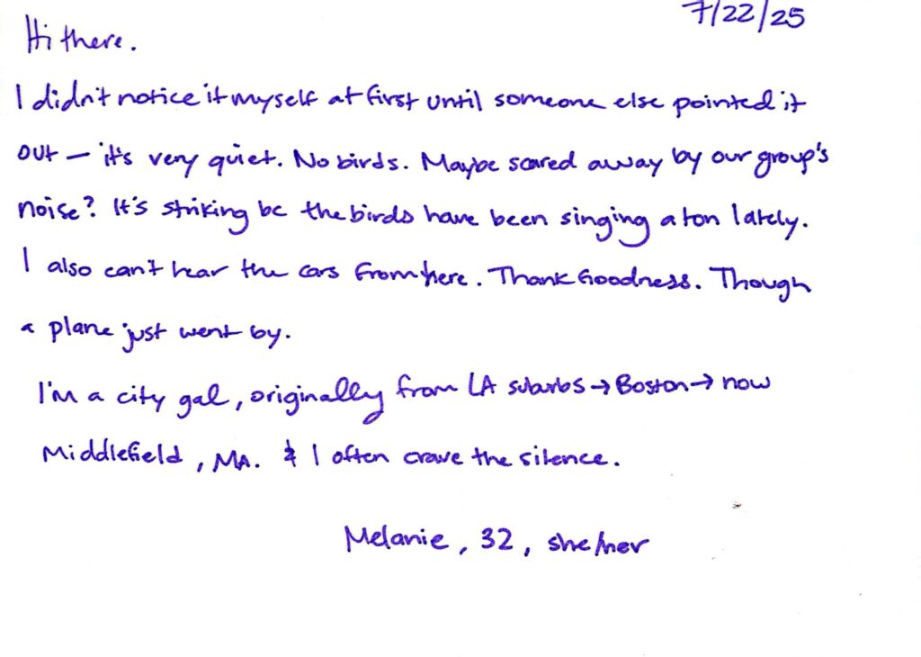 It's very quiet, no birds.