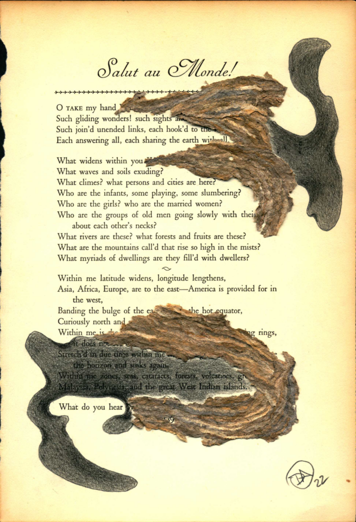 A blackout poem made from a page of Leaves of Grass by Walt Whitman.  Words are covered with bark-like construction paper and  black colored pencil.