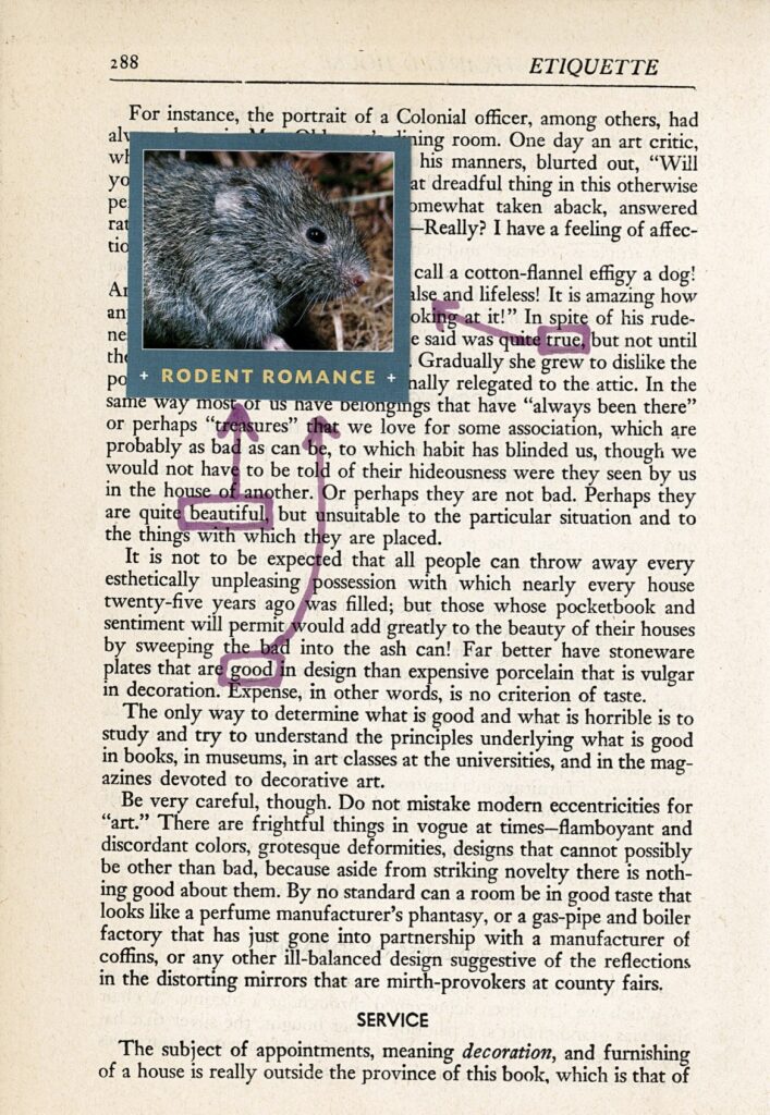 A piece of blackout poetry with most text still visible, with a picture of a Rodent and three words selected in purple marker, pointing to the image with arrows.