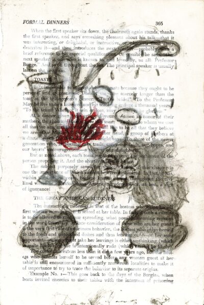 The image shows a page from a book titled "FORMAL DINNERS" with the page number 365 visible. Overlaid on the text is an artistic illustration of a flower, resembling a tulip or similar bloom. The flower is rendered in shades of gray for the stem and leaves, with a vibrant red used for the petals. This illustration is done in a loose, sketchy style that contrasts with the formal text of the book page. The flower appears to be growing up from the bottom of the page, with its stem weaving through the text and the bloom positioned centrally.