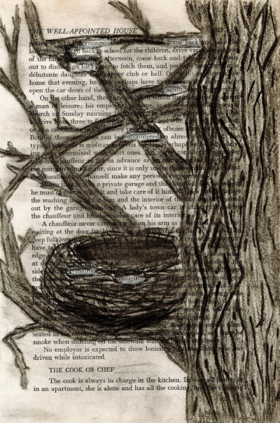 The image shows a page from a book titled "THE WELL-APPOINTED HOUSE" at the top. A large, dark charcoal sketch of a bird's nest dominates the center of the page, overlaying the text. The nest is surrounded by rough sketches of tree branches and twigs that extend to the edges of the page.