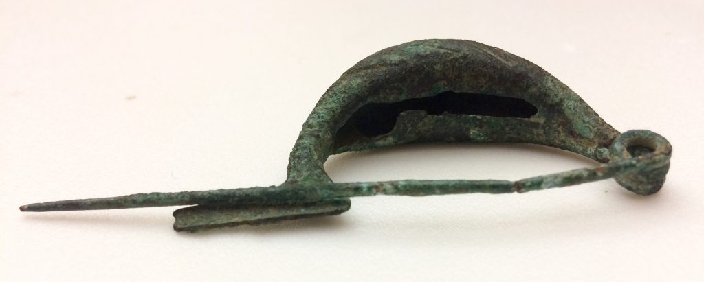 Side view of the fibula showing that its bow is hollow