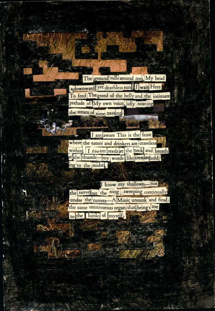 A blackout poem made from a page of Leaves of Grass by Walt Whitman. Words of the poem have been cut out and pasted together to form the new poem. The background is colored in black. A photo of grass replaces the places in the page where the words have been cut out.