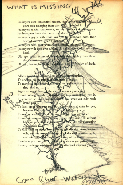 A blackout poem made from a page of Leaves of Grass by Walt Whitman. Birds and the Connecticut River Watershed are drawn over the poem.