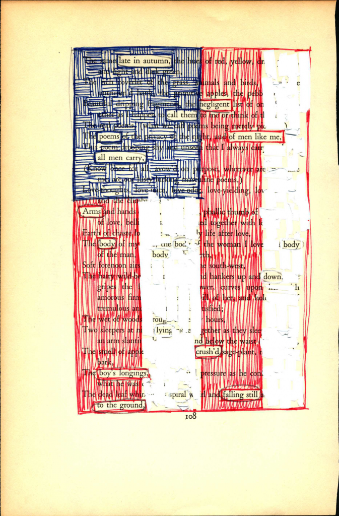 A blackout poem made from a page of Leaves of Grass by Walt Whitman. Words are covered by a drawing of a flag that looks similar to the American flag.