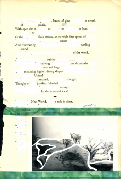 A blackout poem made from a page of Leaves of Grass by Walt Whitman. Words are crossed out with whiteout. At the bottom of the page is a black and white photo of goats on rocks.
