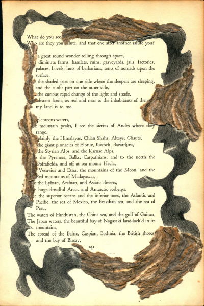 A blackout poem created from a page of Leaves of Grass by Walt Whitman. The poem is framed by wavy construction paper with a bark-like texture and black wavy shapes in colored pencil.