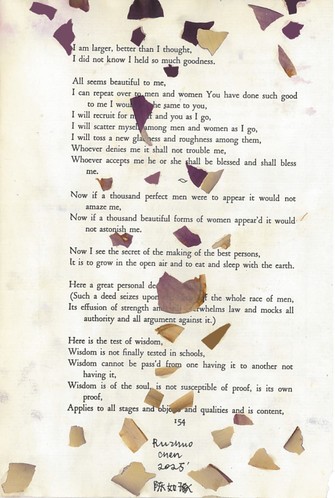A piece of art made from a page of Leaves of Grass by Walt Whitman. Fragments of dried flower petals are glued across the page.
