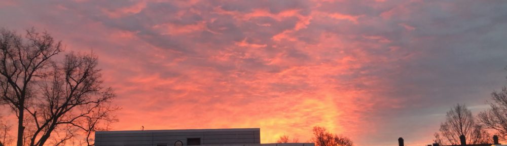 Cotton Candy Skies Bring me Peace