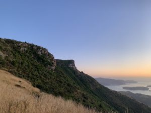 Up high on a hillside near Governor's Bay on the South Island of Aotearoa New Zealand. It is sunrise and the sky is glowing blue, periwinkle, purple, and fades into the orange and yellow of the sunlight glowing on the clouds in the distance. In the foreground is dry grass and brush set against the lush green forest covering the side of a mountain that comes to plateau at the top. 