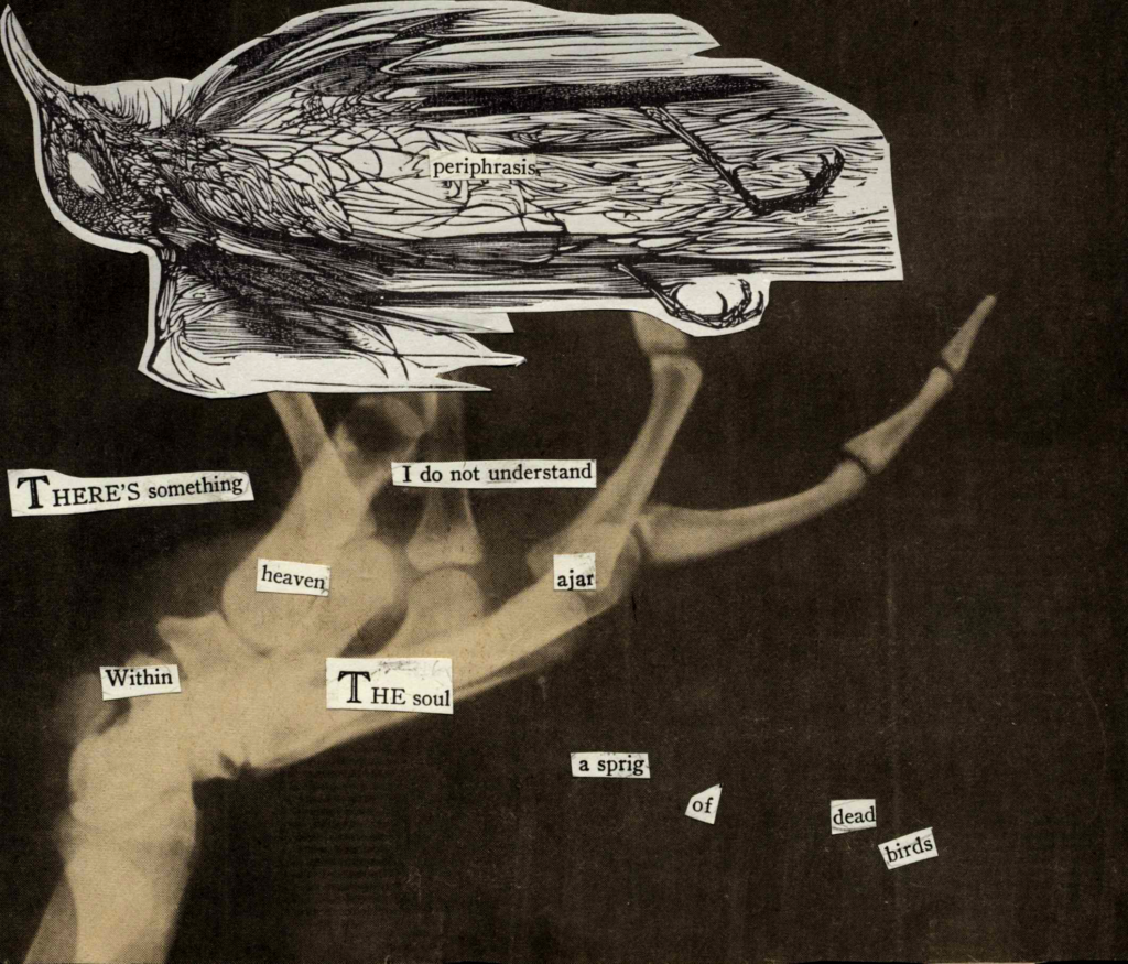 A black-and-white drawing of a bird pasted onto an x-ray of a hand, as if holding it. Words from a page of Emily Dickinson's poetry are cut out and pasted onto the page to make a poem.
