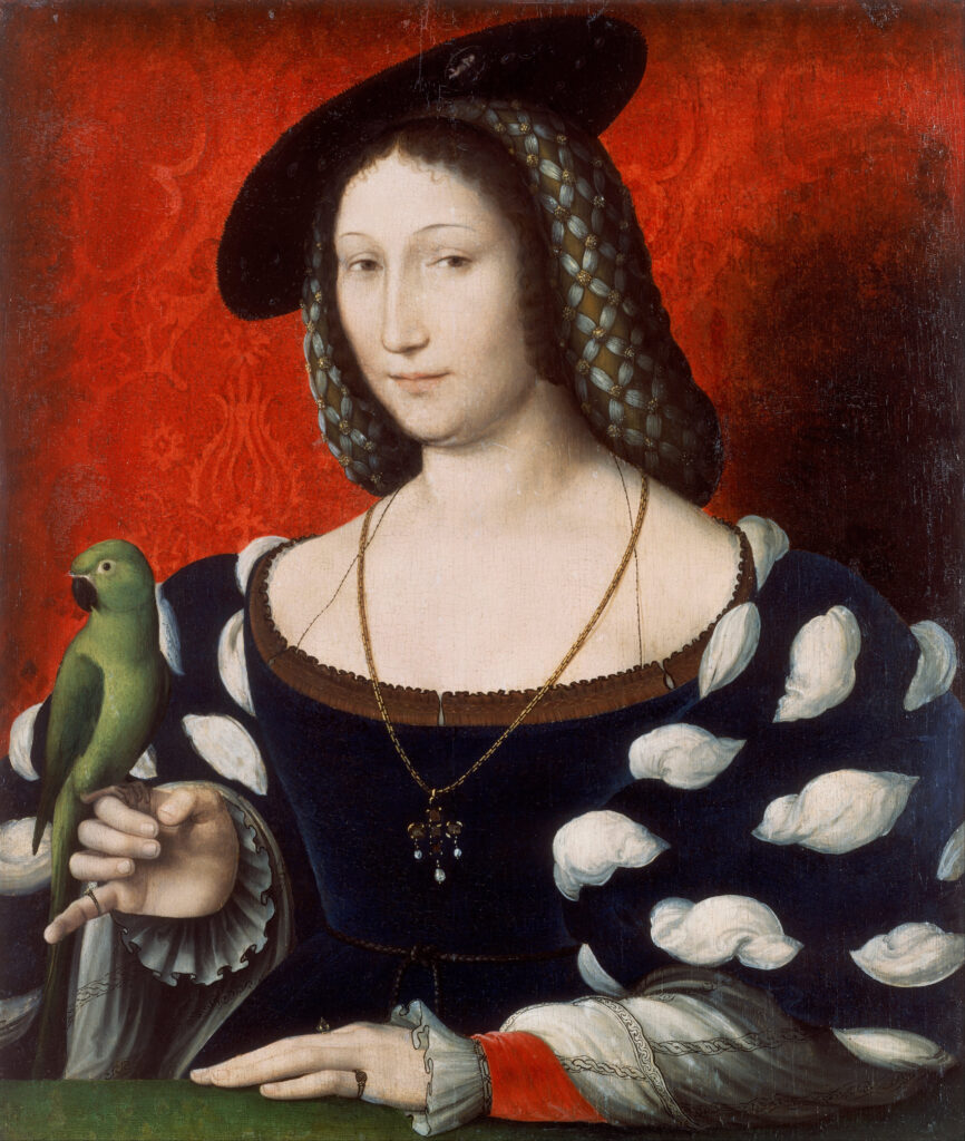 Portrait of Marguerite de Navarre. In front of a red background, she wears a black gown with black and white sleeves, with a green bird perching on her right hand. 