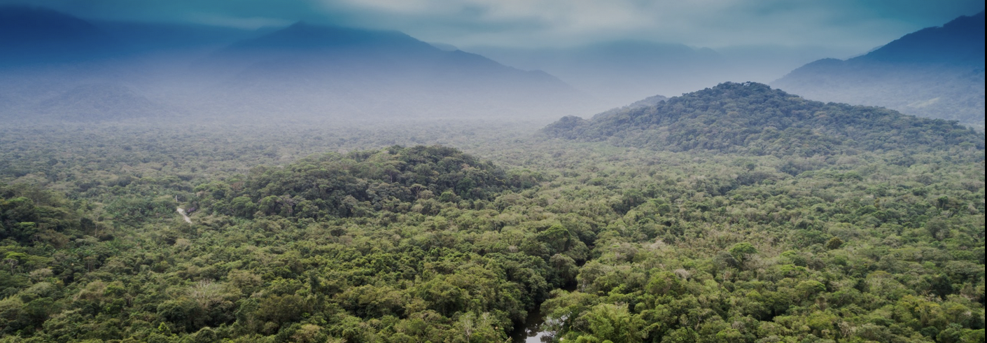 Aerial view of the Amazon rainforest with fog-covered trees and mountains.