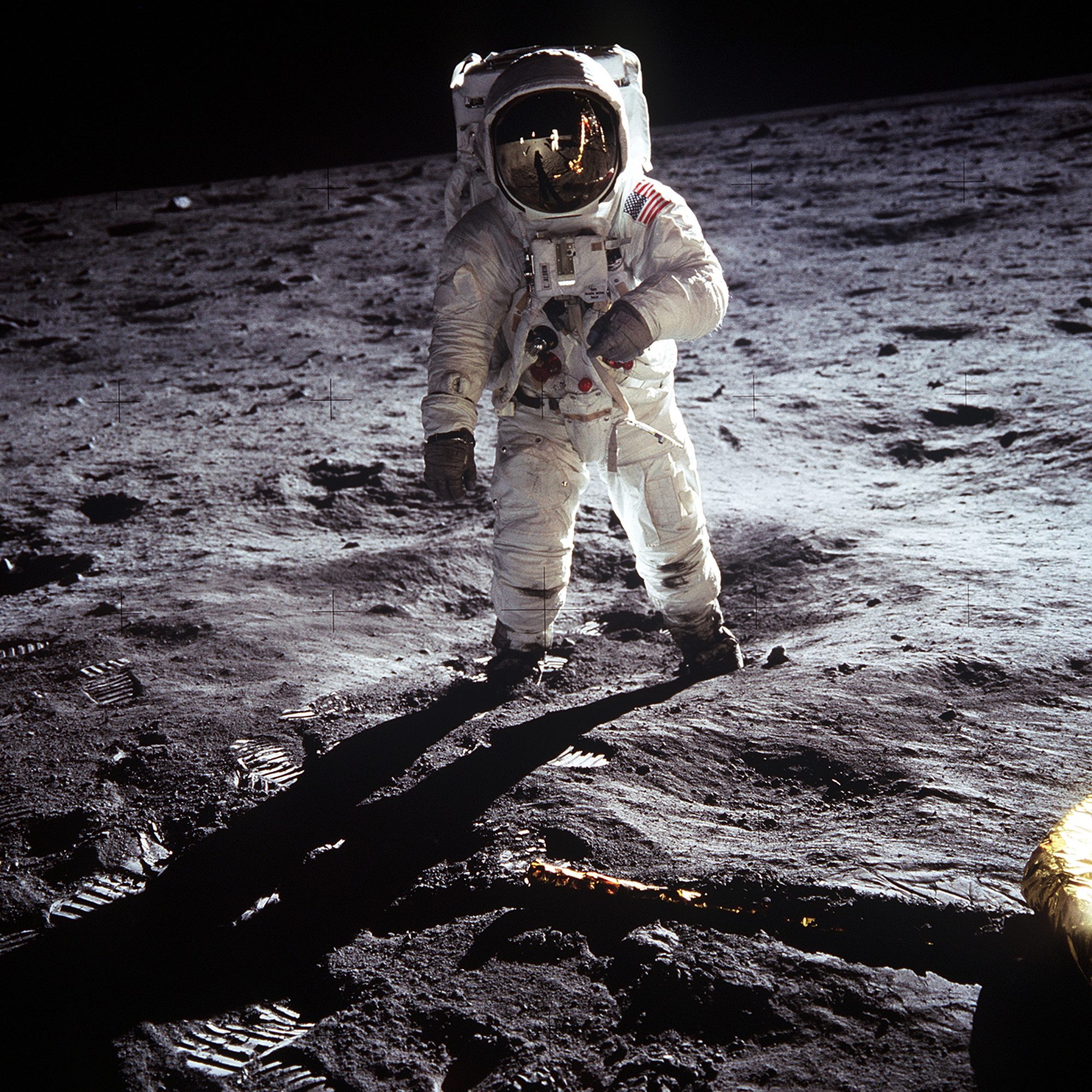 Americans Distrust The Moon Landing And The Government Urban Fictionary