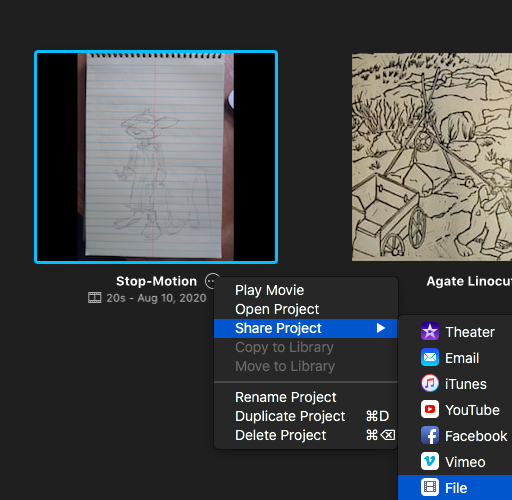 Click on Share>Project> File