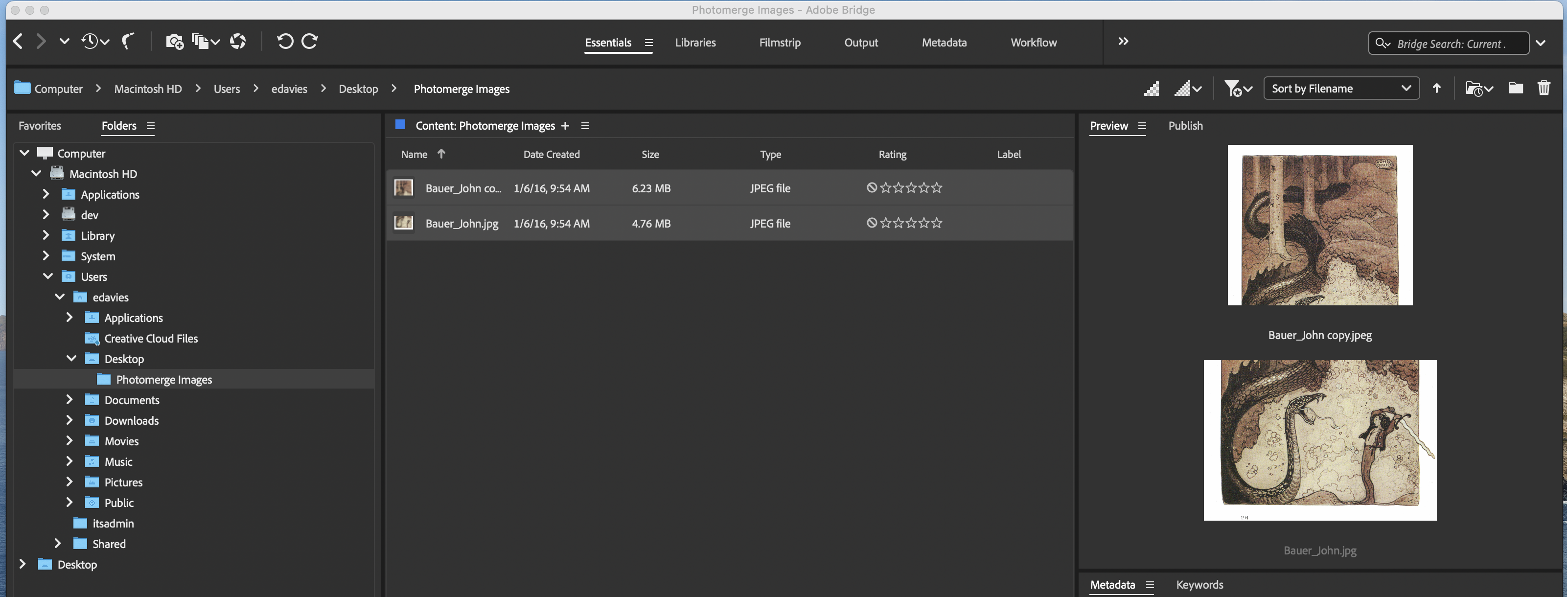 two files selected in Adobe Bridge's main window