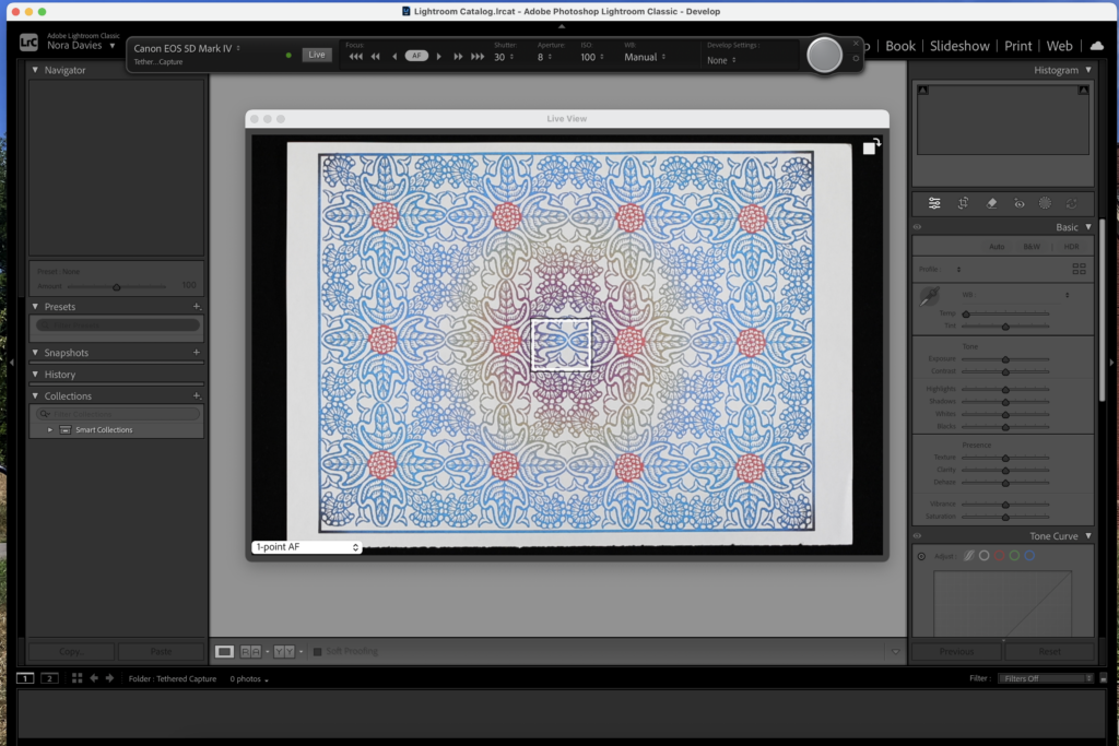 tethered capture live view window