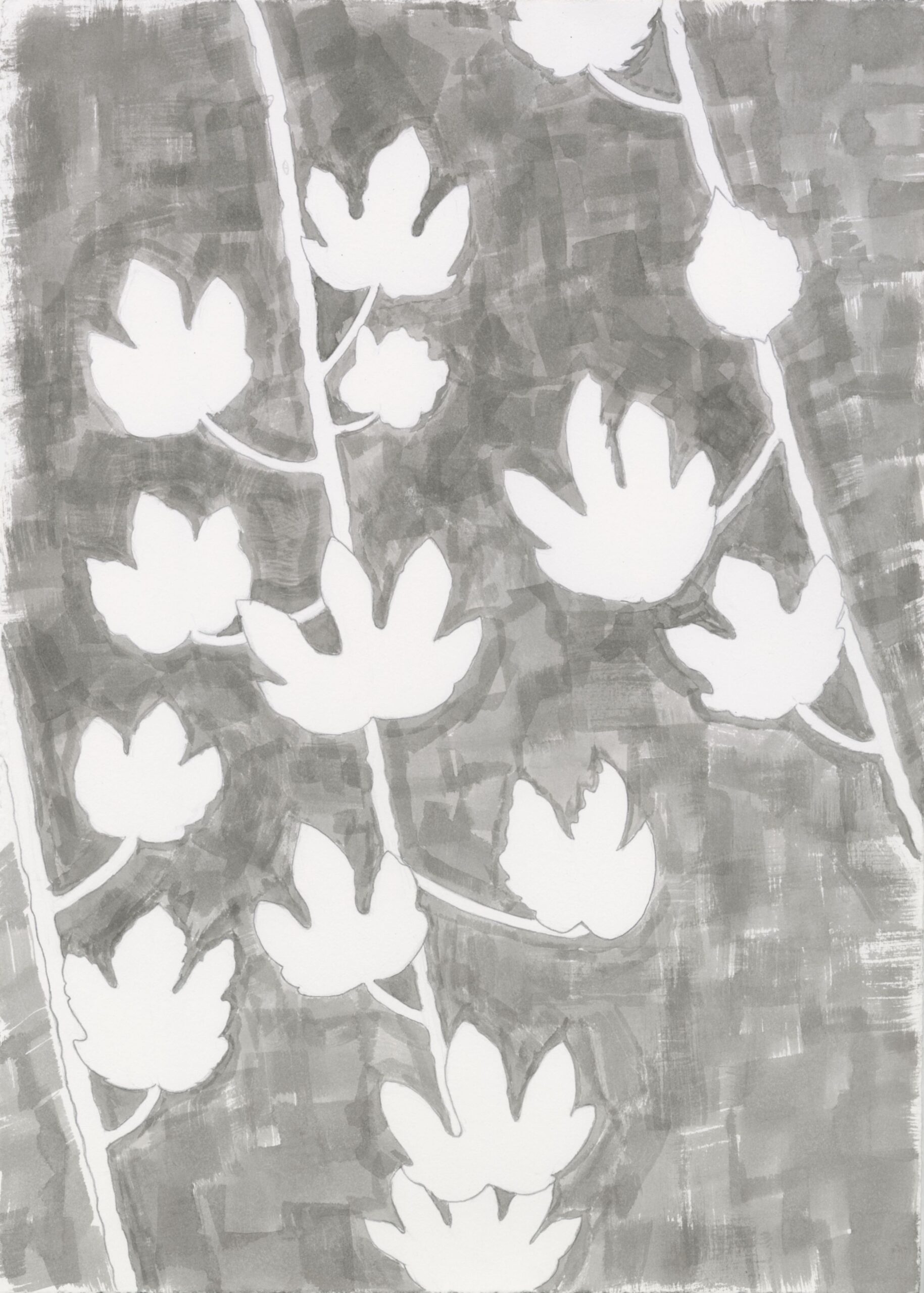 Nermine Mokdad ’25 | Into the Glasshouse