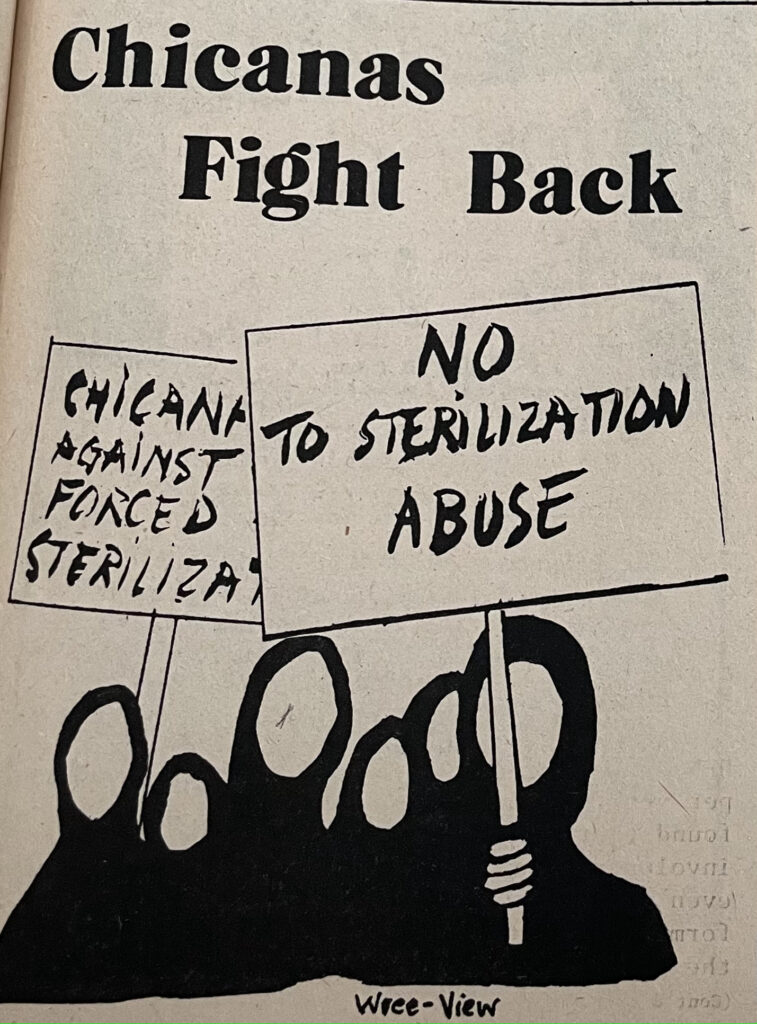 A graphic that has six people without faces. There are two posters to represent that it is a protest. One poster reads "NO TO STERILIZATION ABUSE"
The other reads "CHICANAS AGAINST FORCED STERILIZA[TION]"
Above the signs, there are big bold letters that read "Chicanas Fight Back"
