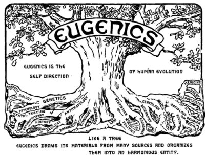 Image of "Eugenics Tree"