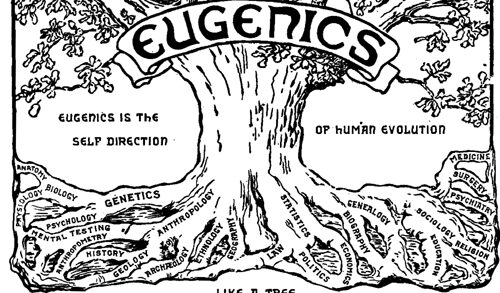 Image of "Eugenics Tree"