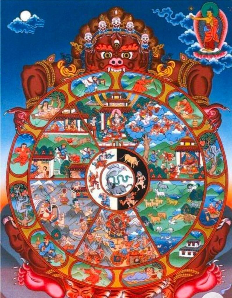 The Wheel of Life - Samsara