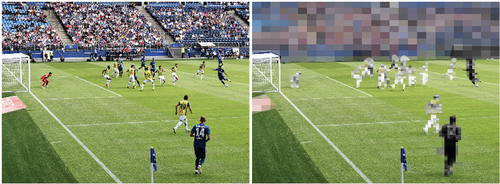 Image from the experiment done by Gomez-Gonzalez, Dietl, Berri, and Nesseler, where the bodies of female soccer players are blurred to hide their gender.