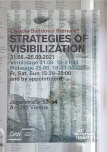 Strategies of Visibilization (EN)