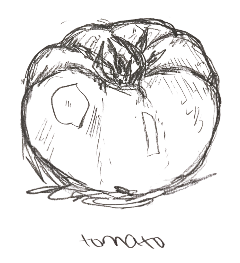 tomato plant