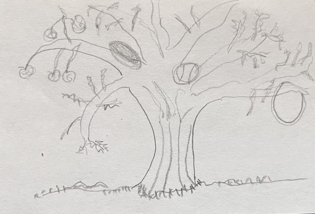 apple tree with things stuck on the branches