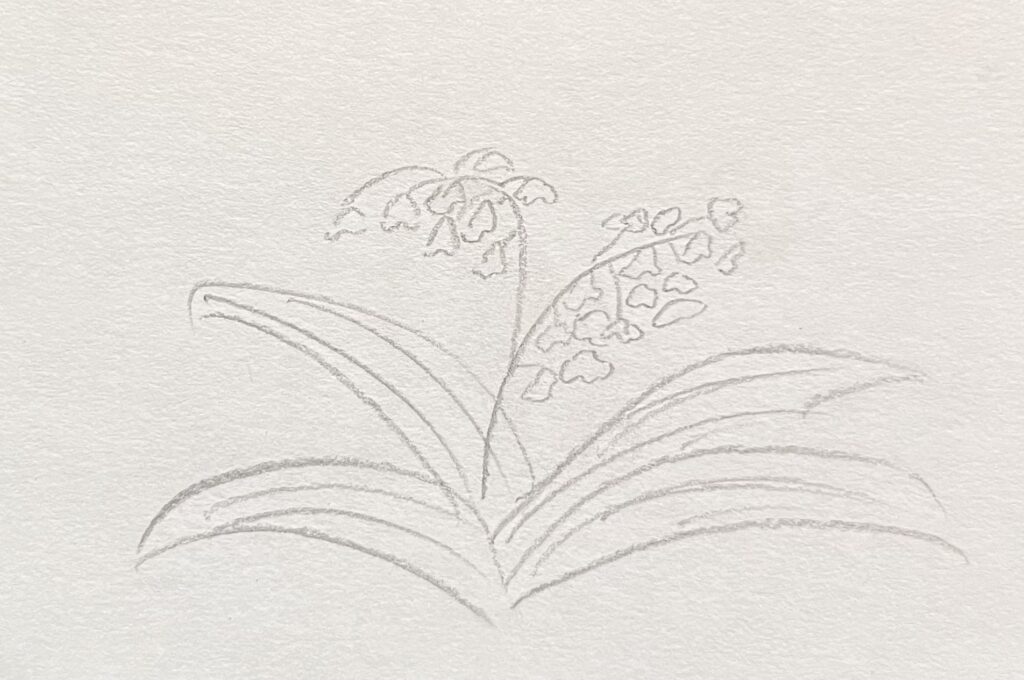 lily of the valley drawing