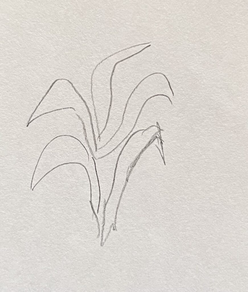 grass drawing