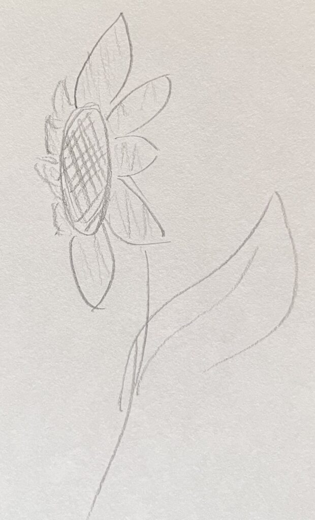 sunflower drawing