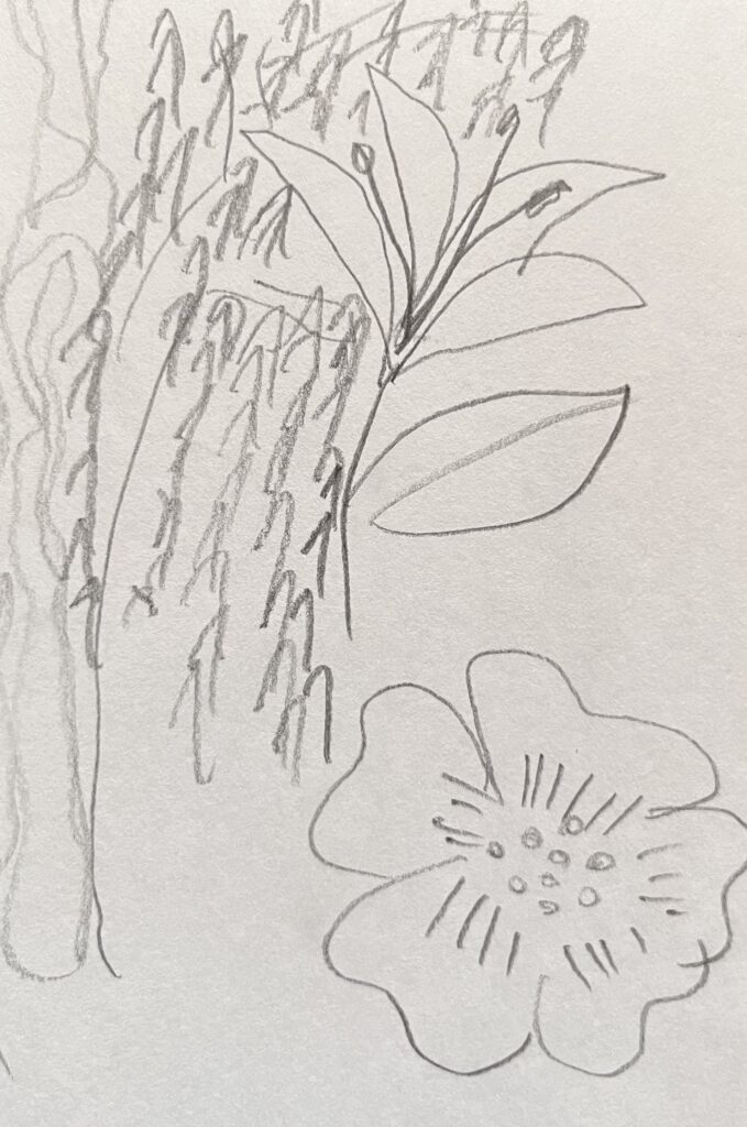 trees and flowers drawing