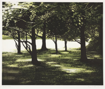 Shade. 1999 White-ground and soft-ground etching and aquatint printed in sequence of yellow, green and  black on Hahnemuhle copperplate warm white paper Sheet: 23 x 26 1/4 in.;  image: 18 x 22 in. 