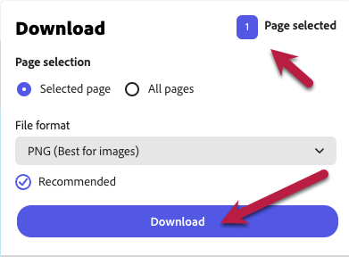 The download dialog in adobe express with a selected page and PNG selected