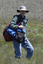 Dr. Eileen Lacey Eileen Lacey