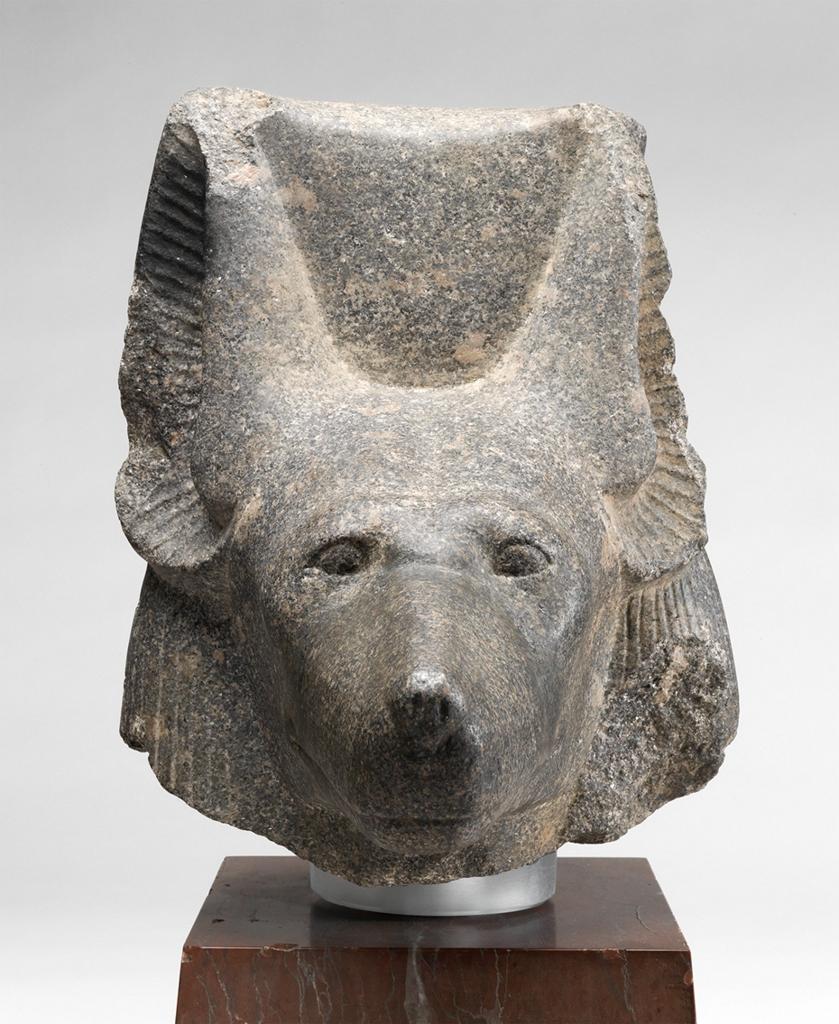 A stone jackal head.