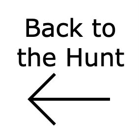 back to the Hunt