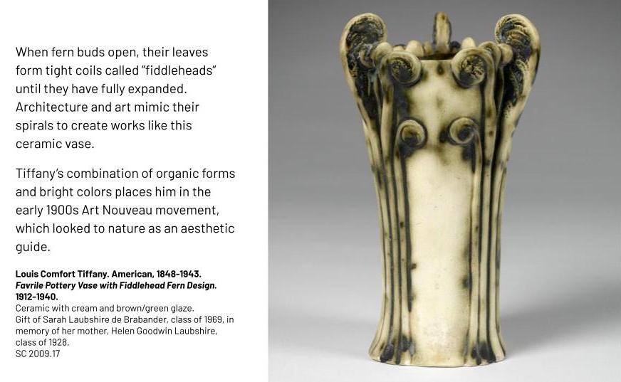 Cream-colored vase with fiddlehead design. When fern buds open, their leaves form tight coils called ”fiddleheads” until they have fully expanded. Architecture and art mimic their spirals to create works like this ceramic vase. Tiffany’s combination of organic forms and bright colors places him in the early 1900s Art Nouveau movement, which looked to nature as an aesthetic guide. Louis Comfort Tiffany. American, 1848-1943. Favrile Pottery Vase with Fiddlehead Fern Design. 1912-1940. Ceramic with cream and brown/green glaze. Gift of Sarah Laubshire de Brabander, class of 1969, in memory of her mother, Helen Goodwin Laubshire, class of 1928. SC 2009.17