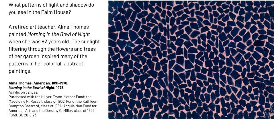What patterns of light and shadow do you see in the Palm House? A retired art teacher, Alma Thomas painted Morning in the Bowl of Night when she was 82 years old. The sunlight filtering through the flowers and trees of her garden inspired many of the patterns in her colorful, abstract paintings. Alma Thomas. American, 1891-1978. Morning in the Bowl of Night. 1973. Acrylic on canvas. Purchased with the Hillyer-Tryon-Mather Fund; the Madeleine H. Russell, class of 1937, Fund; the Kathleen Compton Sherrerd, class of 1954, Acquisition Fund for American Art; and the Dorothy C. Miller, class of 1925, Fund. SC 2018.23 
