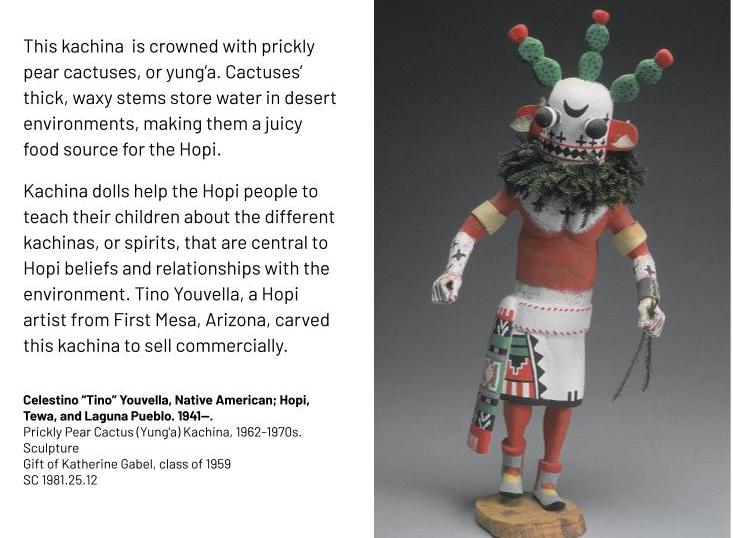 A carved figure with green cactus pads and red cactus fruits on its head. This kachina is crowned with prickly pear cactuses, or yung’a. Cactuses’ thick, waxy stems store water in desert environments, making them a juicy food source for the Hopi. Kachina dolls help the Hopi people to teach their children about the different kachinas, or spirits, that are central to Hopi beliefs and relationships with the environment. Tino Youvella, a Hopi artist from First Mesa, Arizona, carved this kachina to sell commercially. Celestino “Tino” Youvella, Native American; Hopi, Tewa, and Laguna Pueblo. 1941--. Prickly Pear Cactus (Yung'a) Kachina, 1962-1970s. Sculpture Gift of Katherine Gabel, class of 1959 SC 1981.25.12