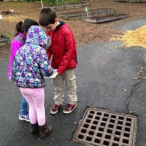 First graders map storm drains on the Jackson Street school grounds. 