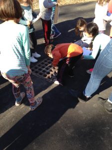 First-graders explored storm drains on their playground, just like Inquiry Inc!