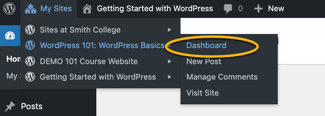 the Dashboard link of the WordPress 101 site highlighted