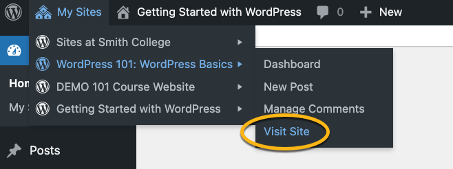 the Visit Site link of the WordPress 101 highlighted